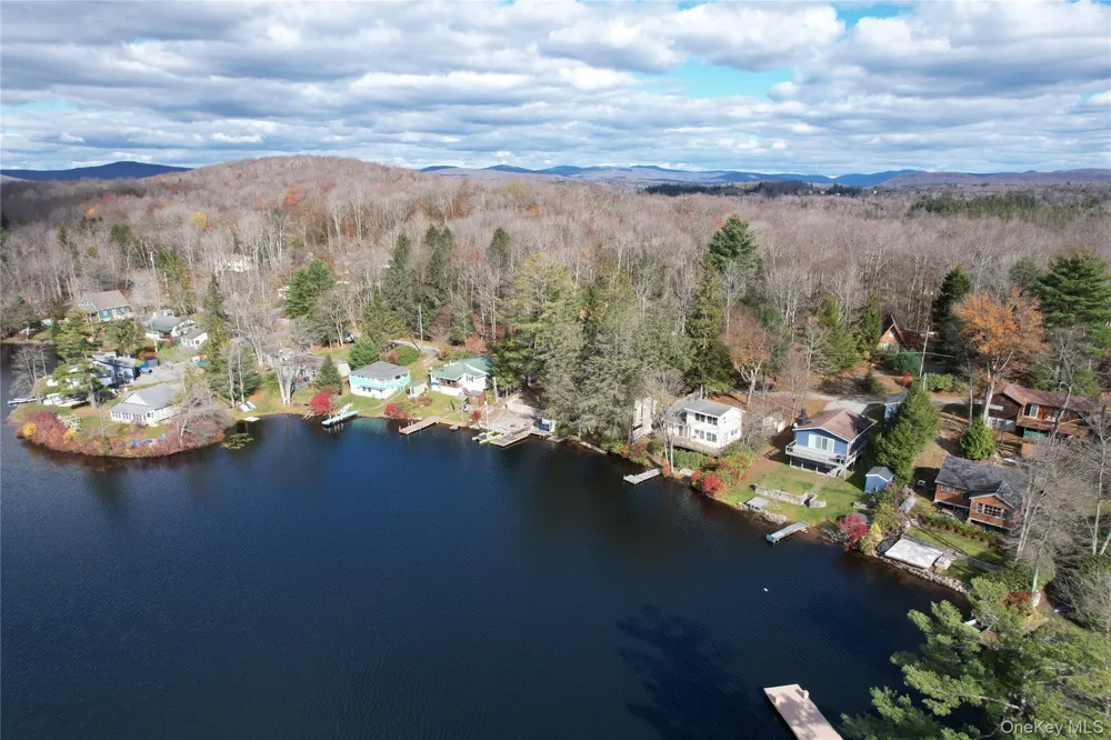 106 Park Drive Parksville, NY 12768