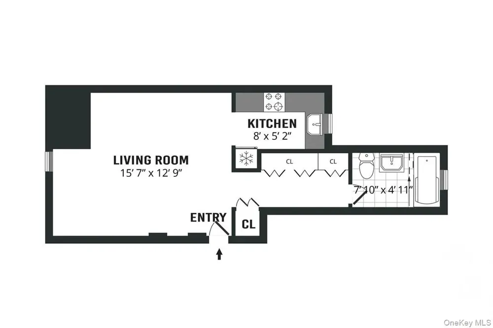 9 Argyle Road #1A Brooklyn, NY 11218