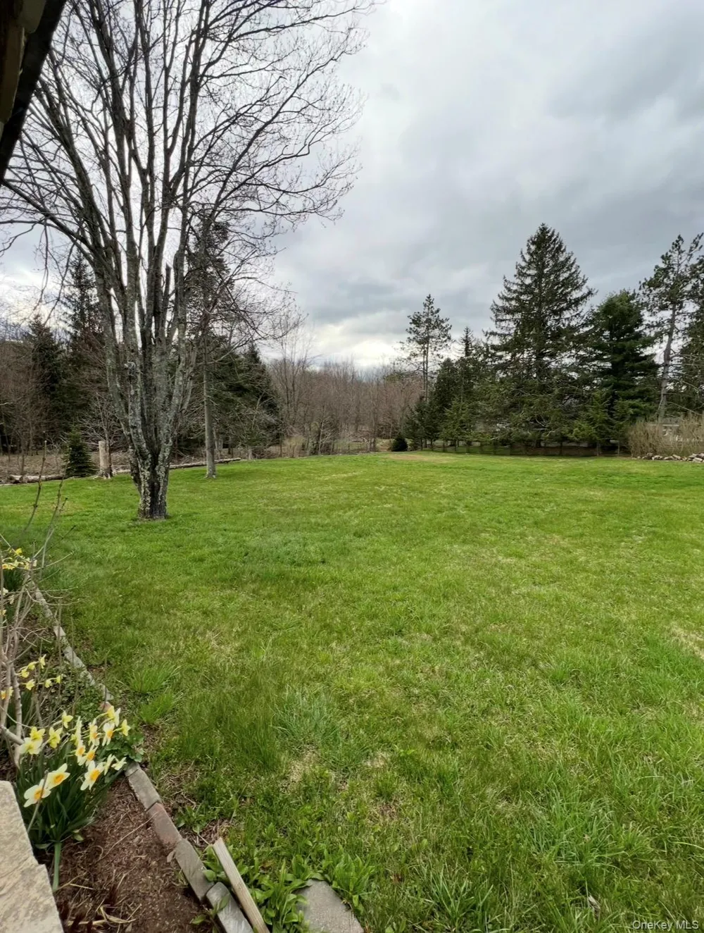 542 Mitchell Hollow Road Windham, NY 12496