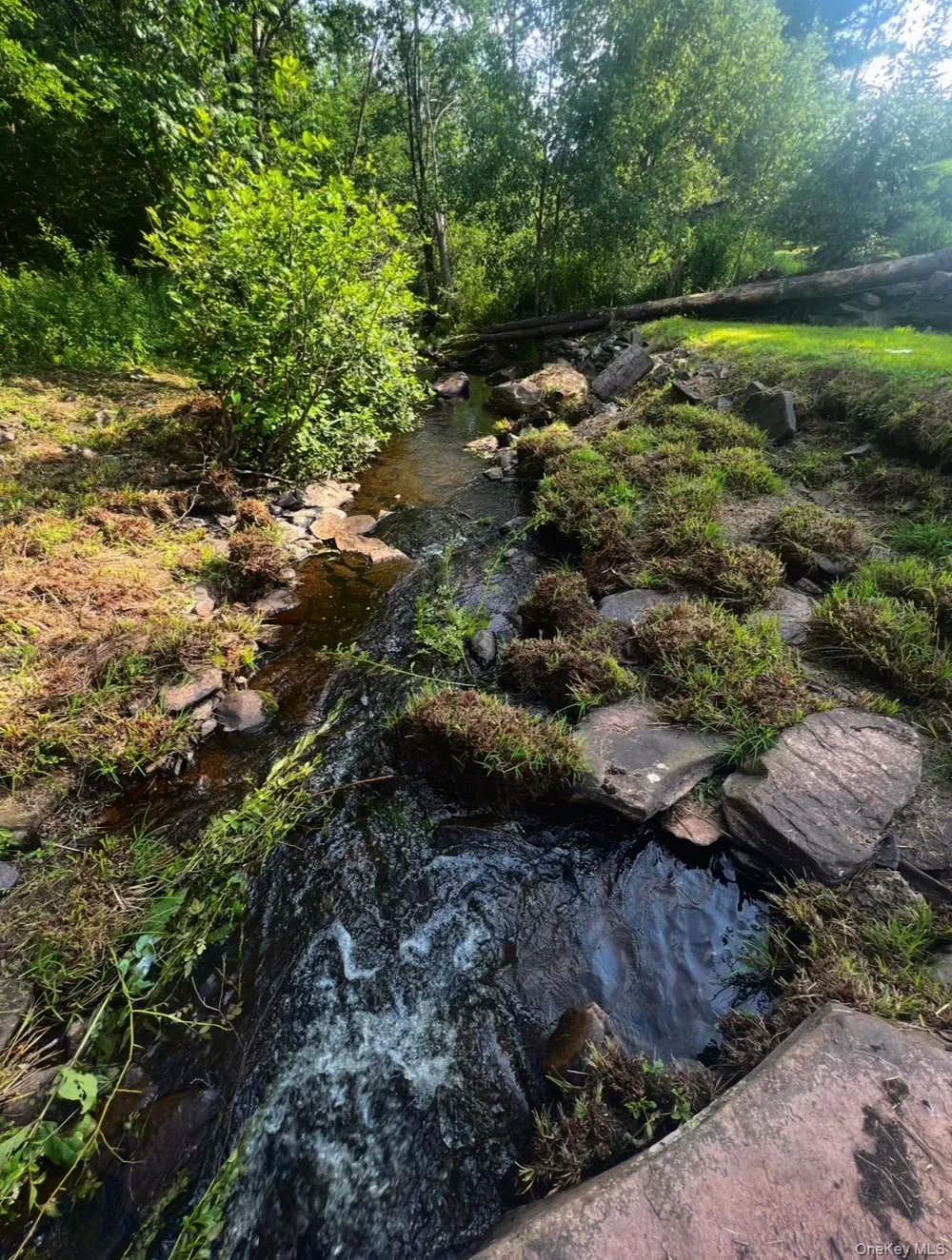 542 Mitchell Hollow Road Windham, NY 12496