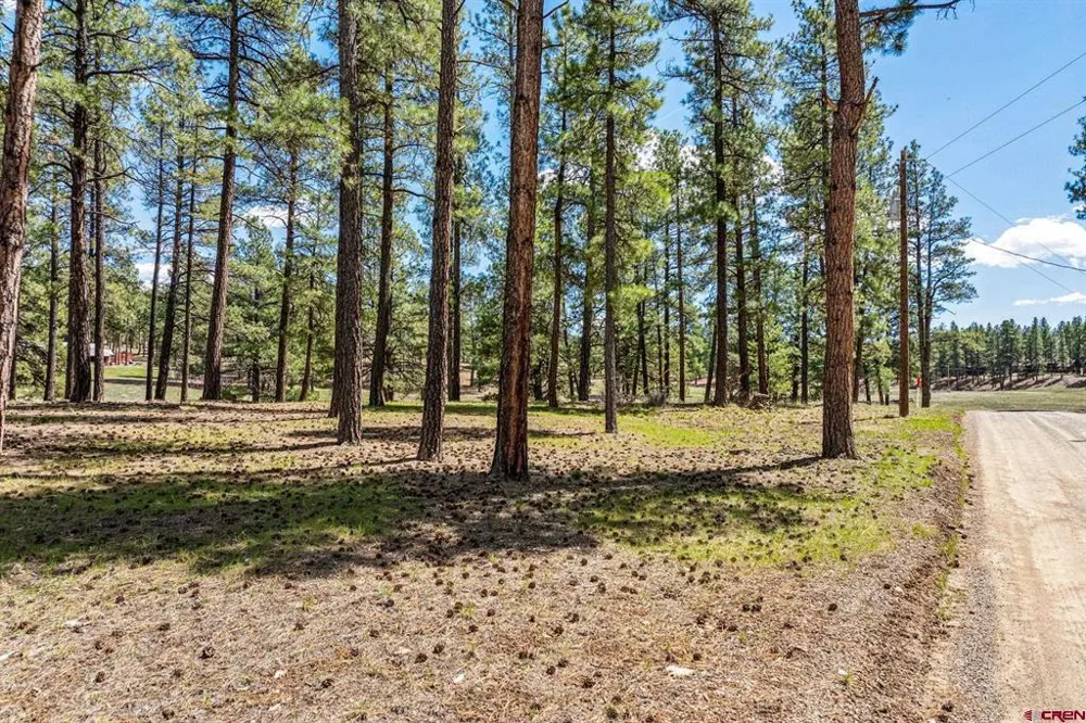841 Beaver Creek Drive Bayfield, CO 81122
