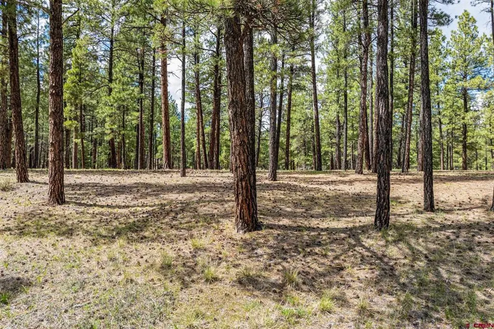 841 Beaver Creek Drive Bayfield, CO 81122