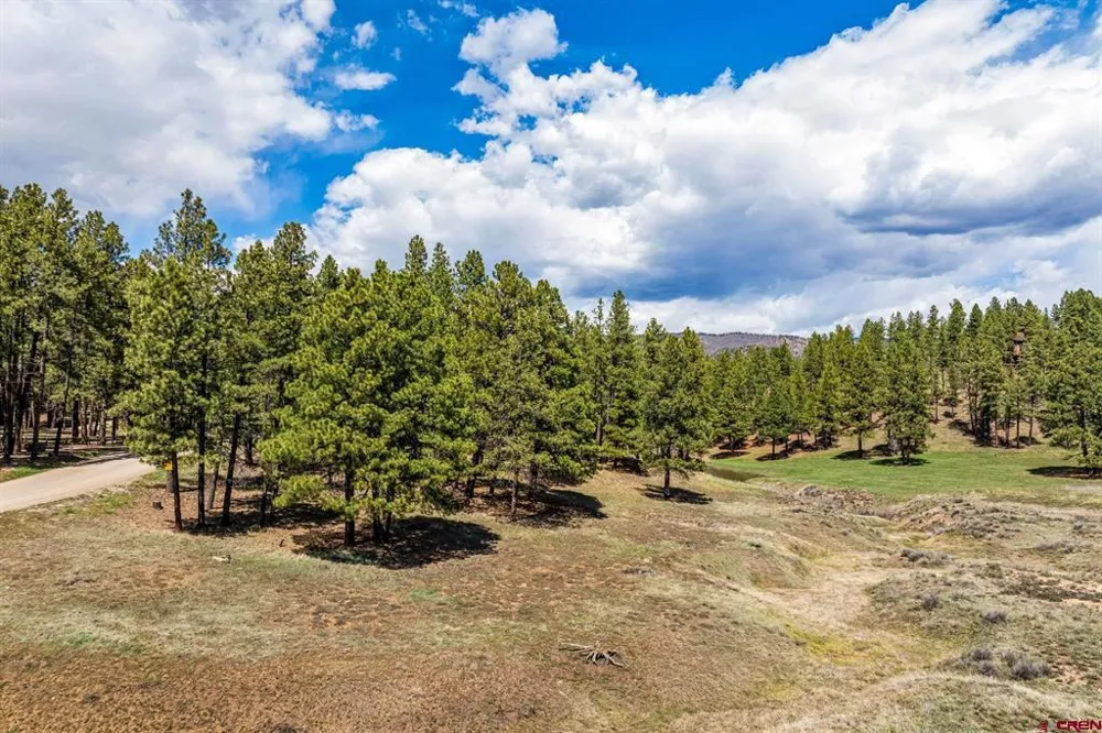 841 Beaver Creek Drive Bayfield, CO 81122