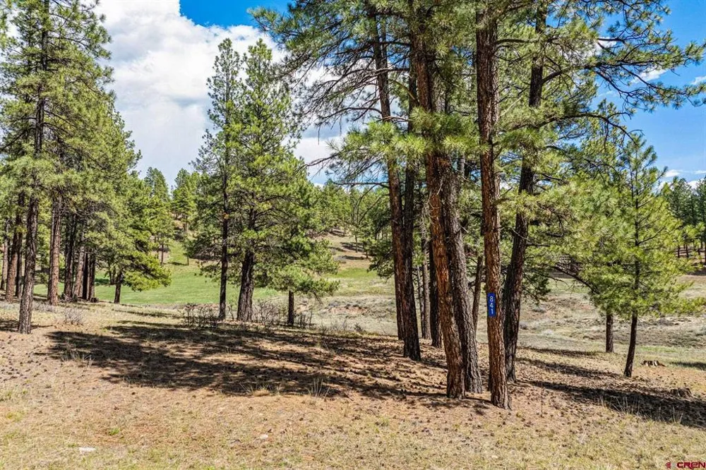 841 Beaver Creek Drive Bayfield, CO 81122