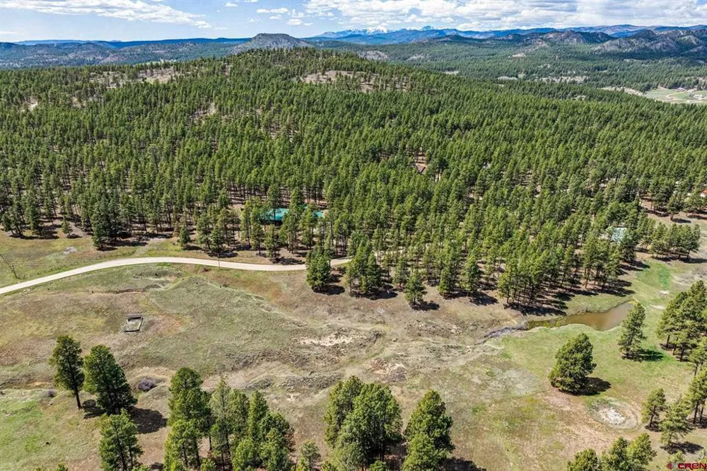 841 Beaver Creek Drive Bayfield, CO 81122