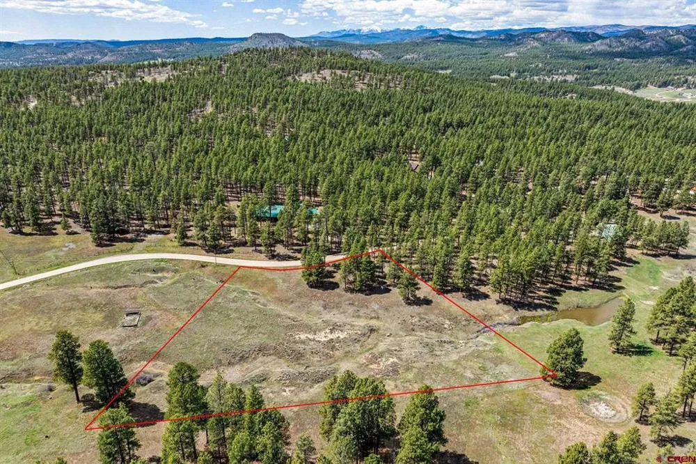 841 Beaver Creek Drive Bayfield, CO 81122