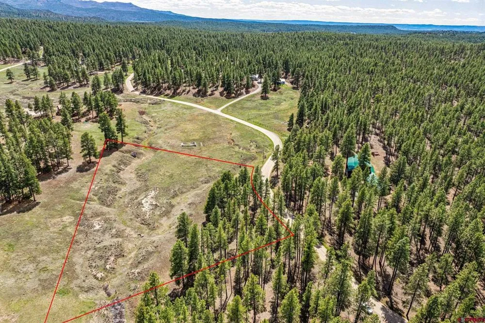 841 Beaver Creek Drive Bayfield, CO 81122