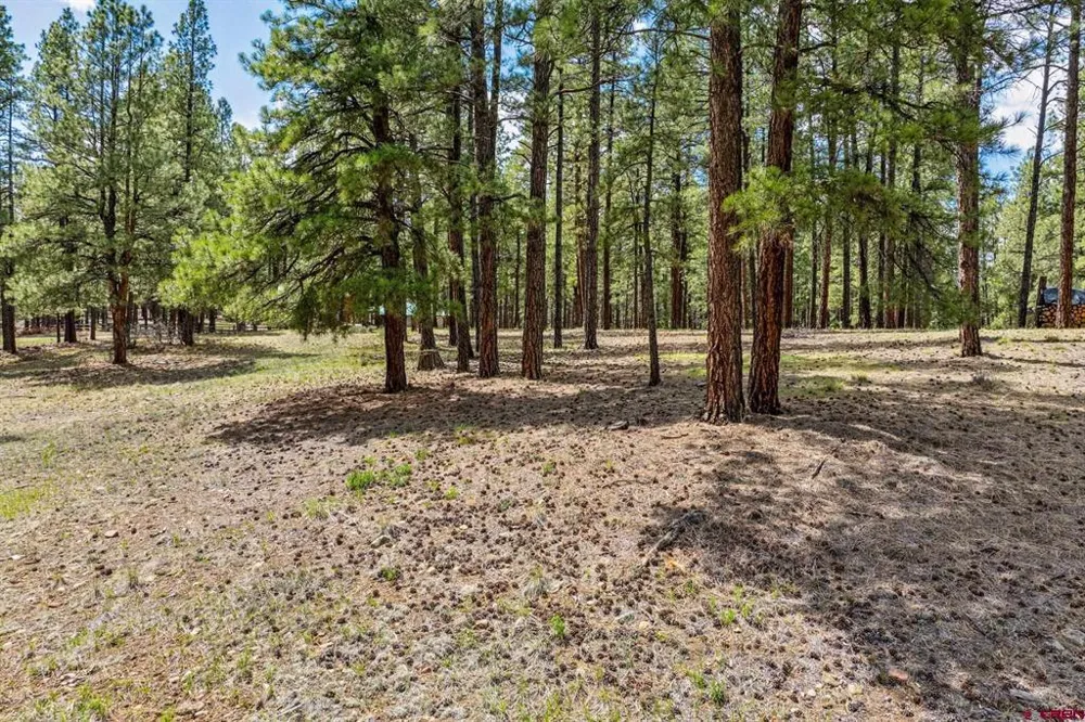 841 Beaver Creek Drive Bayfield, CO 81122