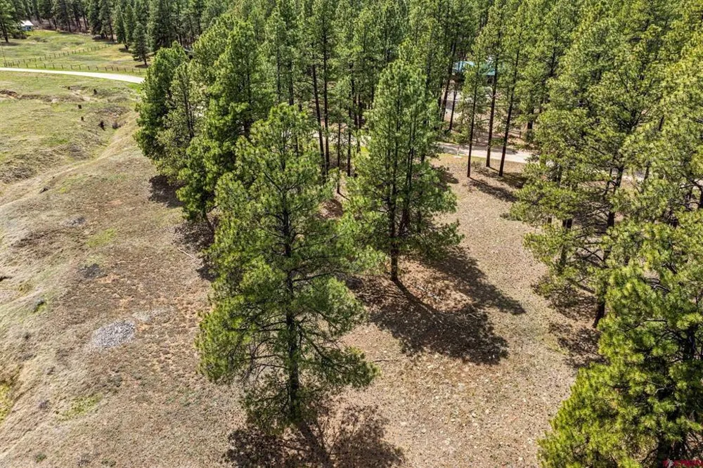 841 Beaver Creek Drive Bayfield, CO 81122