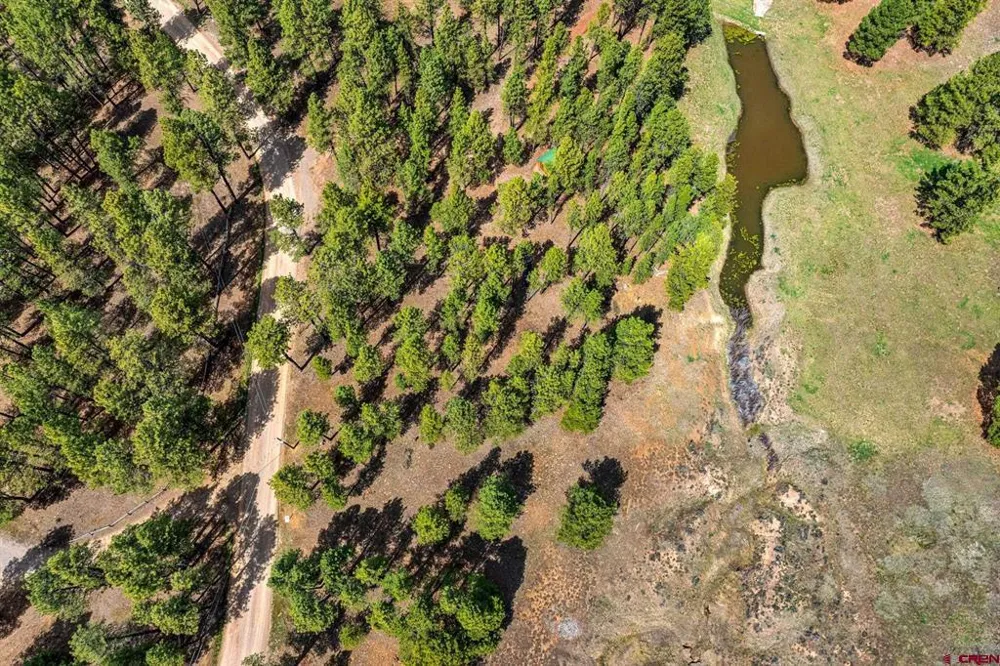 841 Beaver Creek Drive Bayfield, CO 81122