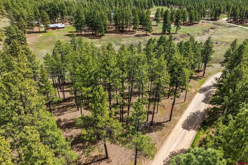 841 Beaver Creek Drive Bayfield, CO 81122