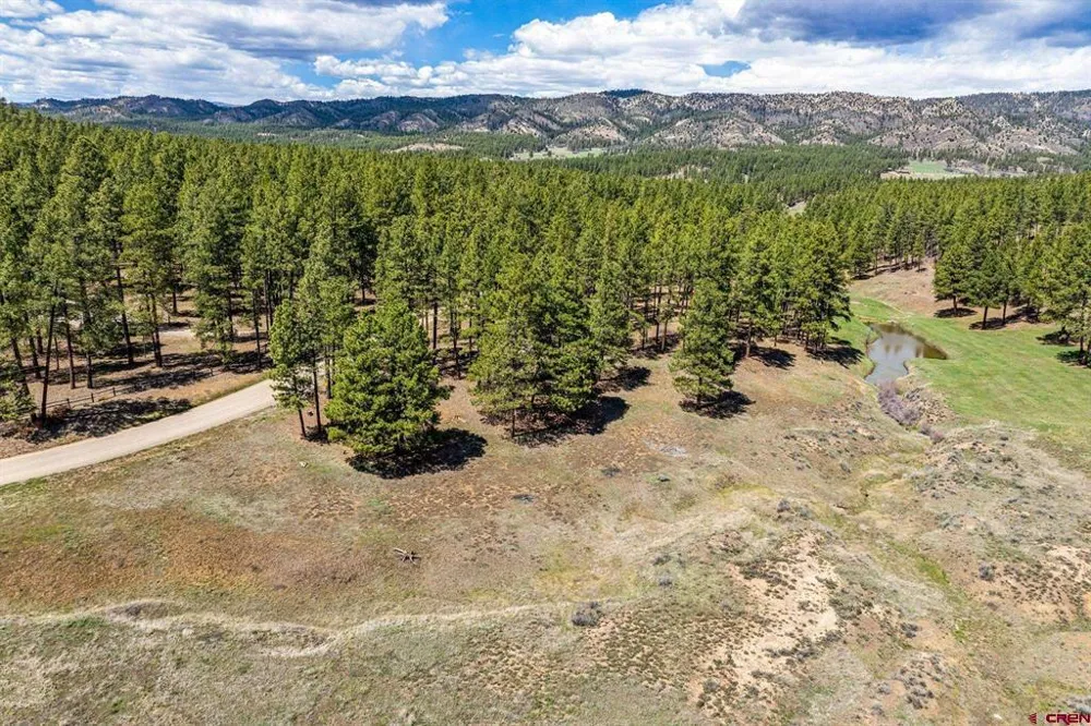 841 Beaver Creek Drive Bayfield, CO 81122
