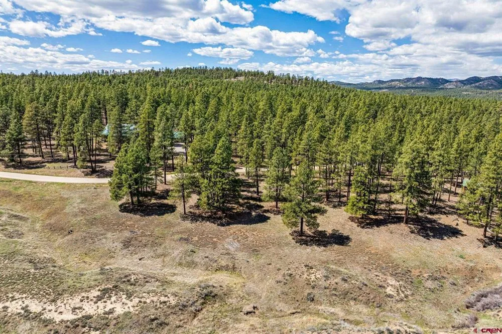 841 Beaver Creek Drive Bayfield, CO 81122