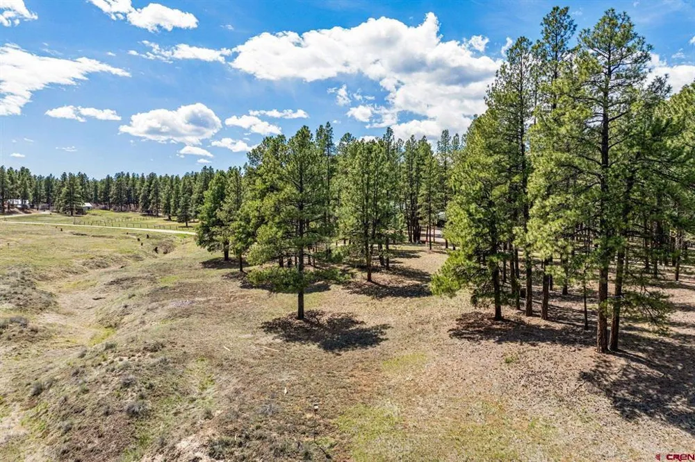 841 Beaver Creek Drive Bayfield, CO 81122