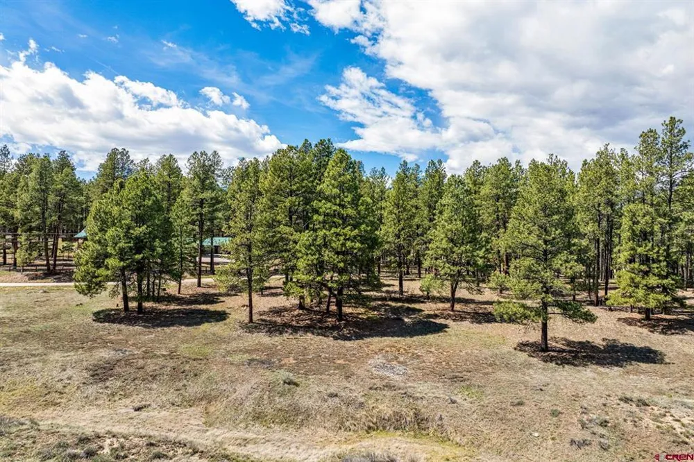 841 Beaver Creek Drive Bayfield, CO 81122