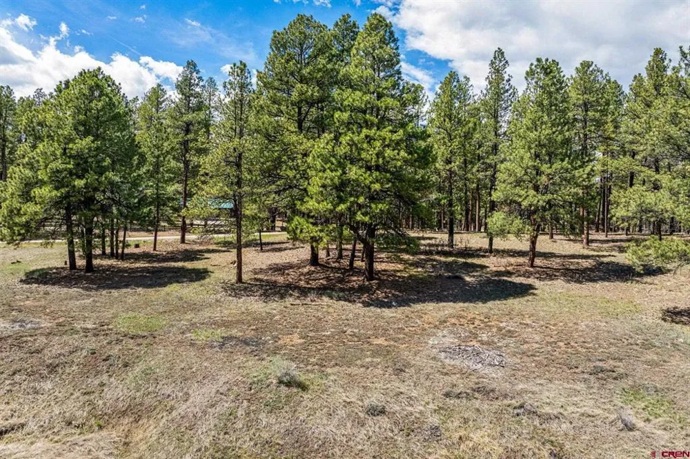 841 Beaver Creek Drive Bayfield, CO 81122