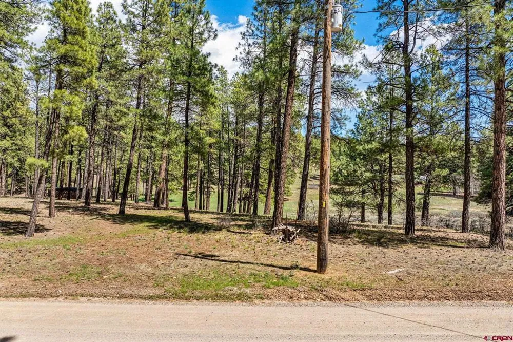841 Beaver Creek Drive Bayfield, CO 81122