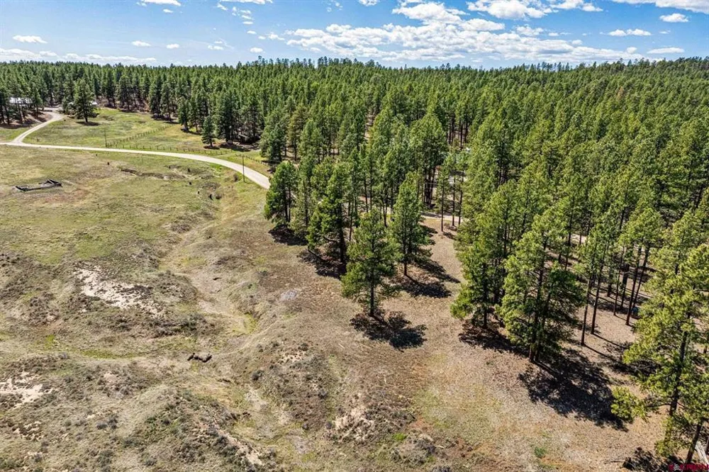 841 Beaver Creek Drive Bayfield, CO 81122