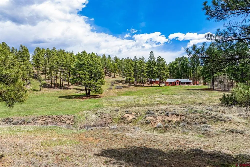 841 Beaver Creek Drive Bayfield, CO 81122