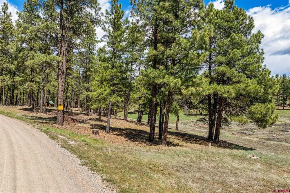 841 Beaver Creek Drive Bayfield, CO 81122