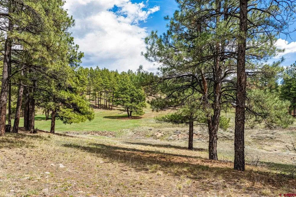 841 Beaver Creek Drive Bayfield, CO 81122