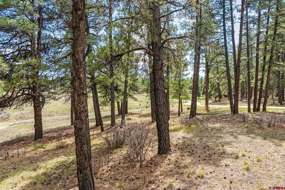 841 Beaver Creek Drive Bayfield, CO 81122
