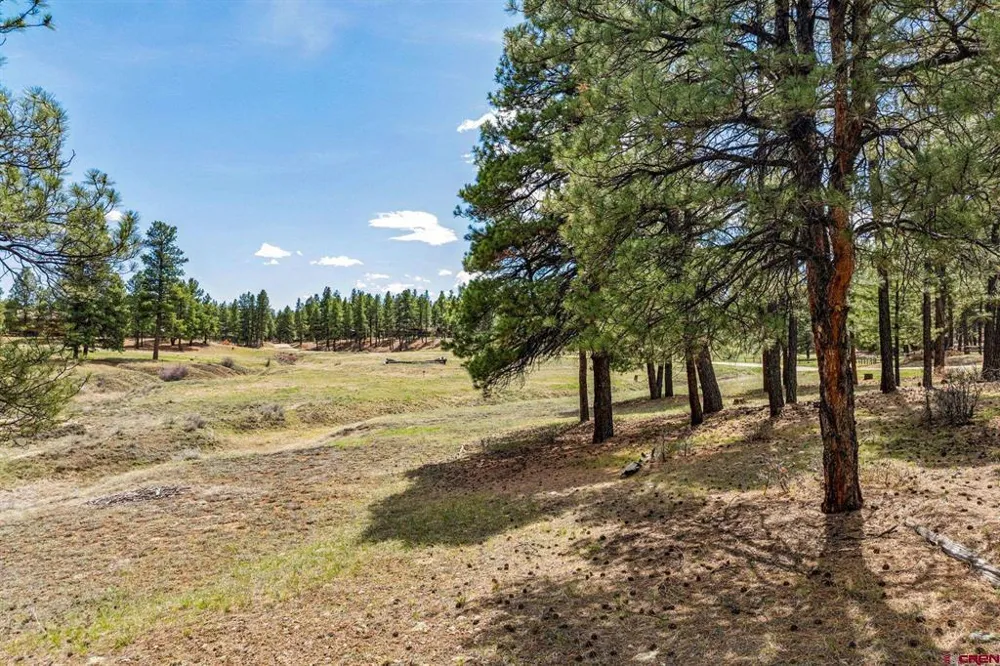 841 Beaver Creek Drive Bayfield, CO 81122