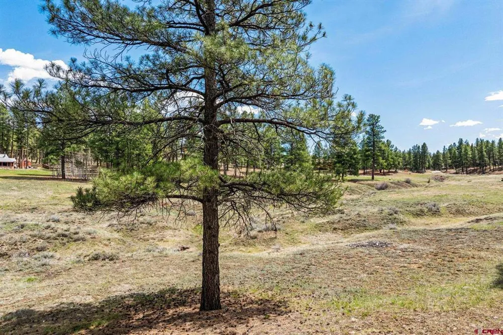 841 Beaver Creek Drive Bayfield, CO 81122