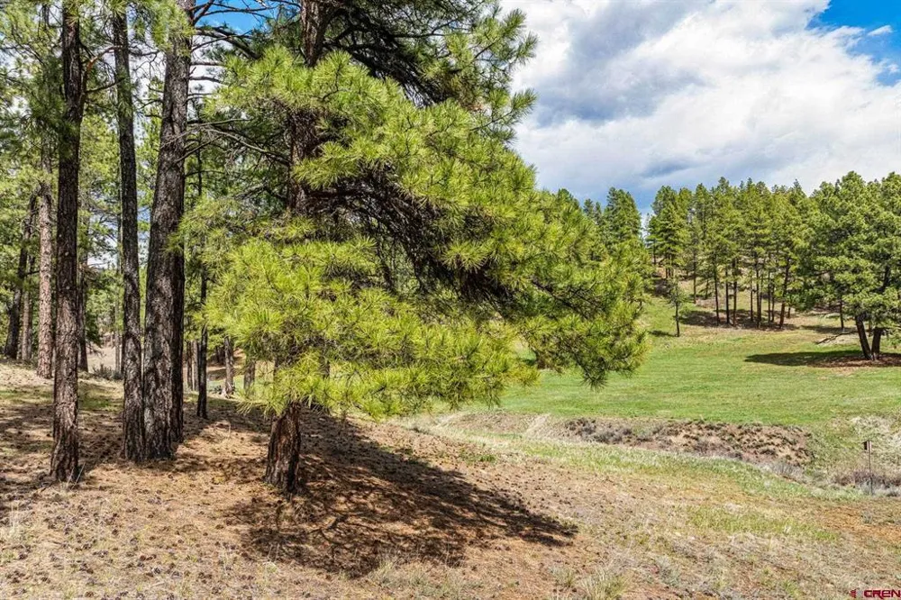 841 Beaver Creek Drive Bayfield, CO 81122