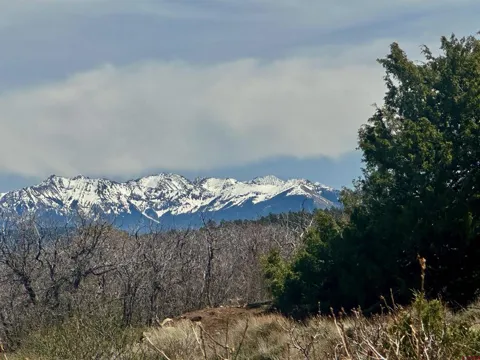 Gurley Reserve