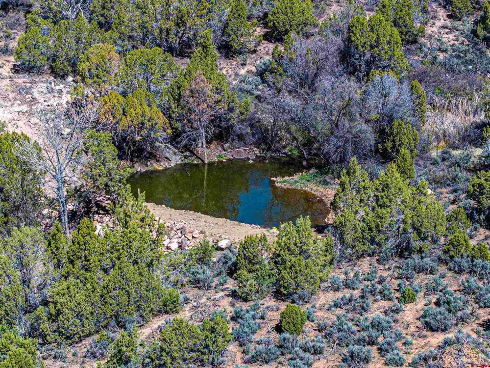 3 Rimrock Road Hotchkiss, CO 81419