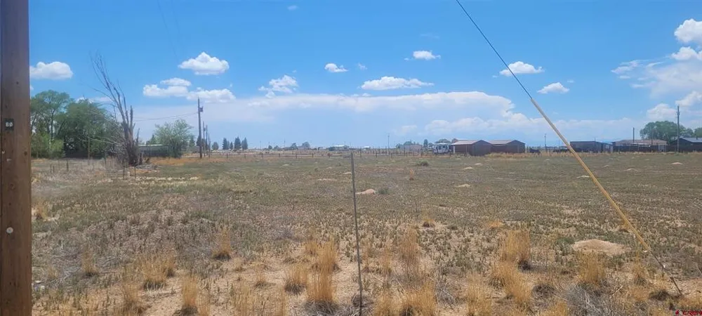 58039 Eva K Drive Moffat, CO 81143