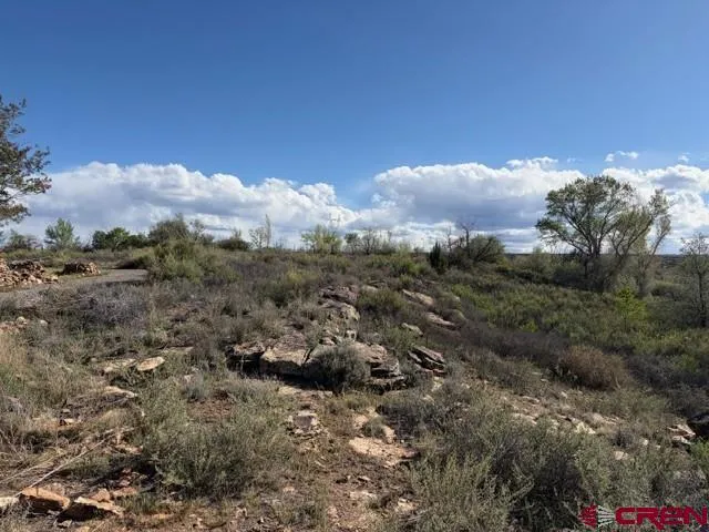 51233 Carnation Road Delta, CO 81416