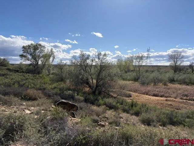 51233 Carnation Road Delta, CO 81416