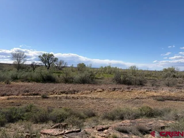 51233 Carnation Road Delta, CO 81416