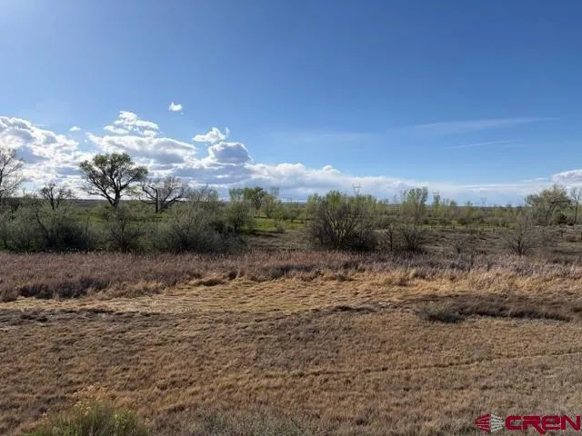 51233 Carnation Road Delta, CO 81416