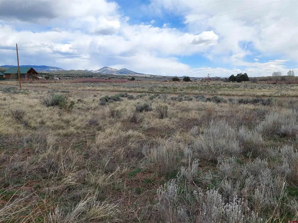 55 OWHI RD South Fork, CO 81154
