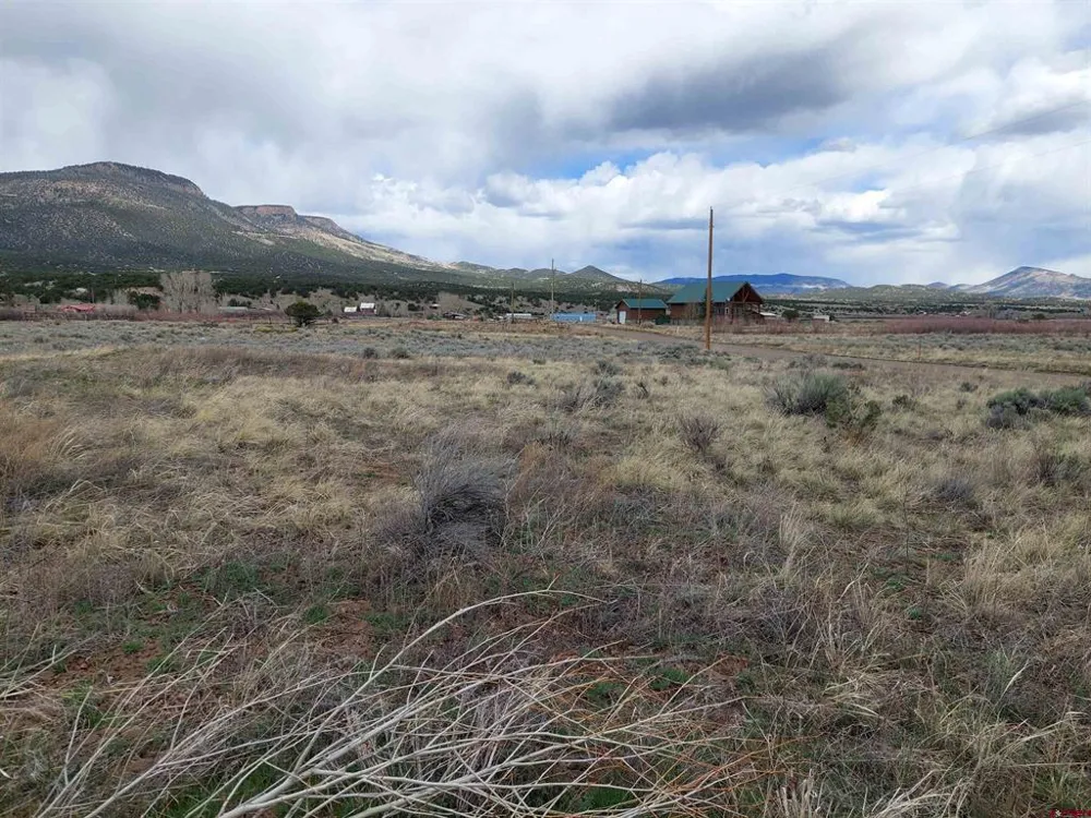 55 OWHI RD South Fork, CO 81154