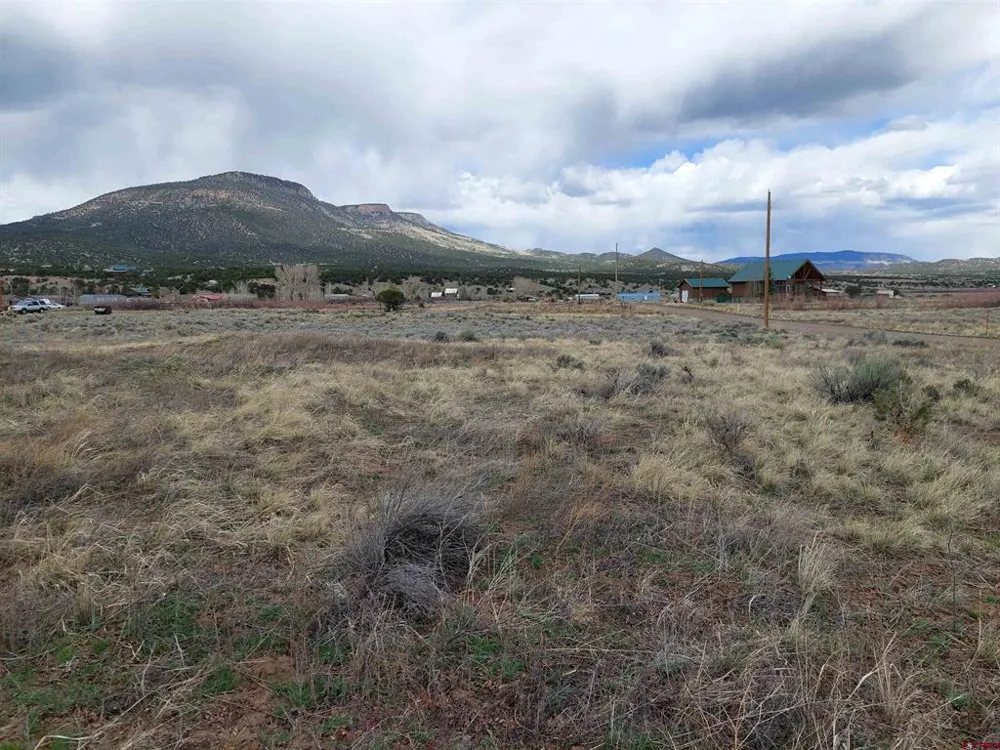 55 OWHI RD South Fork, CO 81154