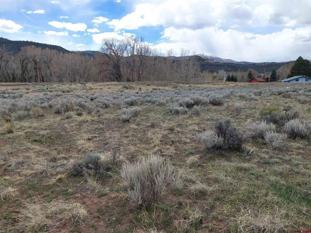 55 OWHI RD South Fork, CO 81154