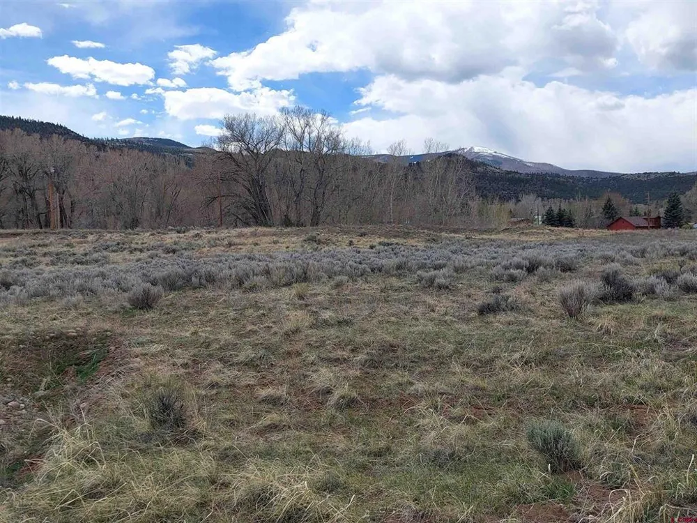 55 OWHI RD South Fork, CO 81154
