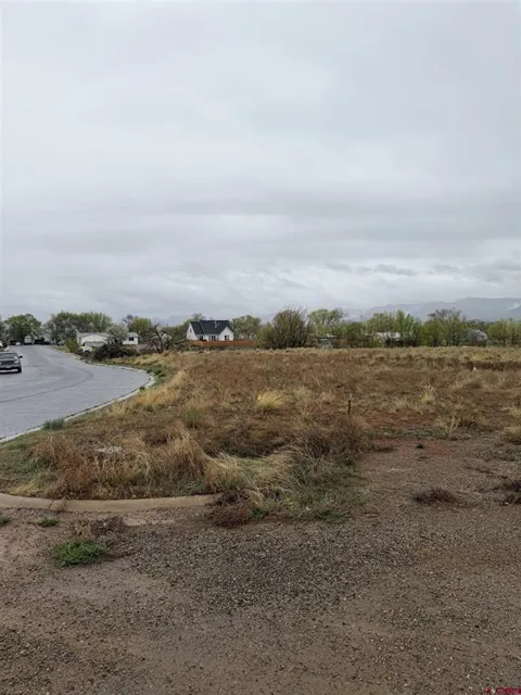 Chisholm Pl and Jarret Ave