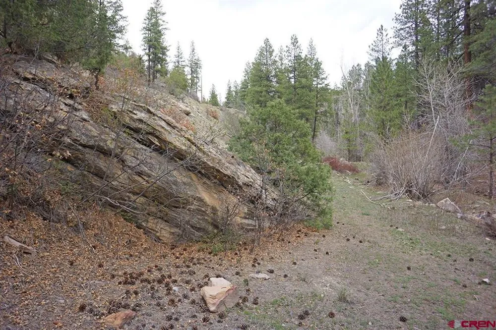 3 Road 36.5 Mancos, CO 81328