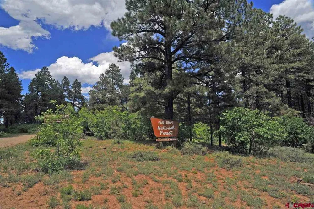 3 Road 36.5 Mancos, CO 81328