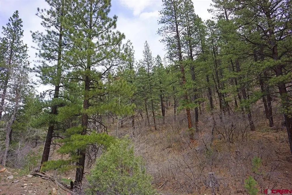 3 Road 36.5 Mancos, CO 81328