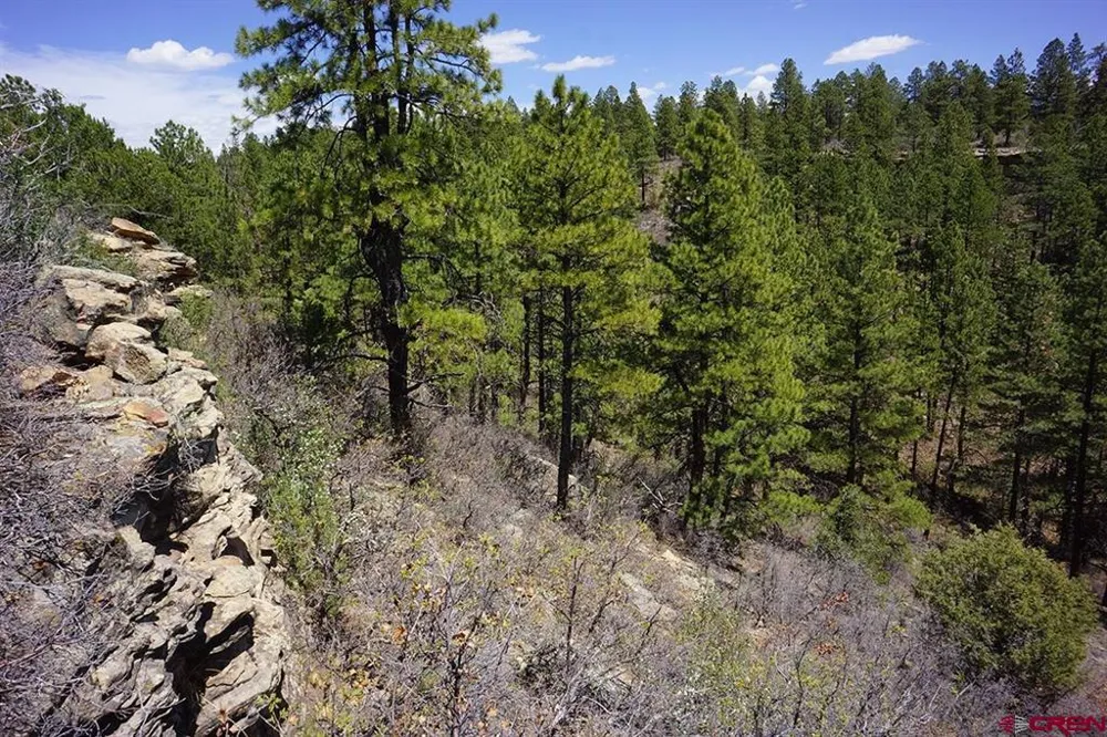 11 Road 37.1 Mancos, CO 81328