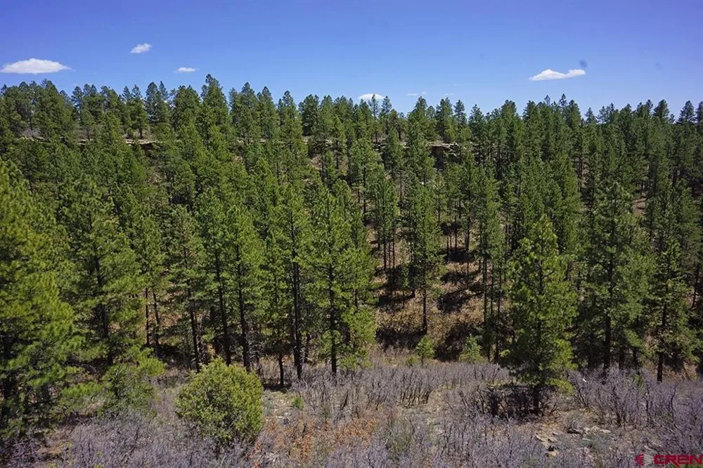11 Road 37.1 Mancos, CO 81328