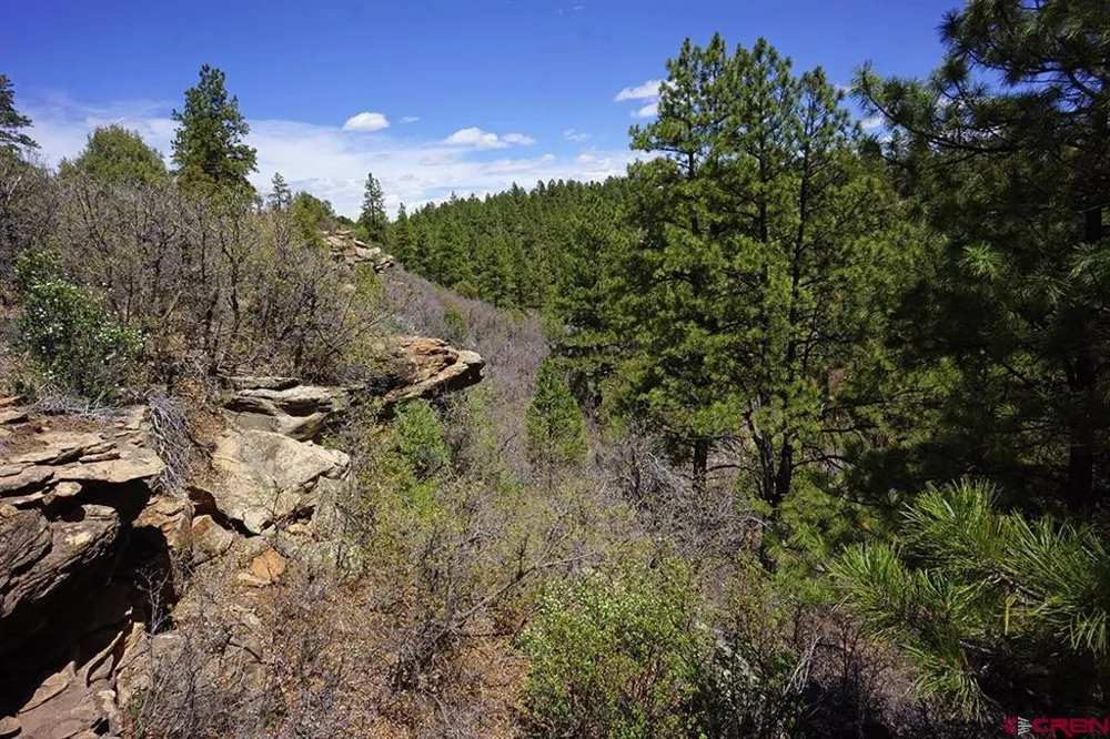 11 Road 37.1 Mancos, CO 81328