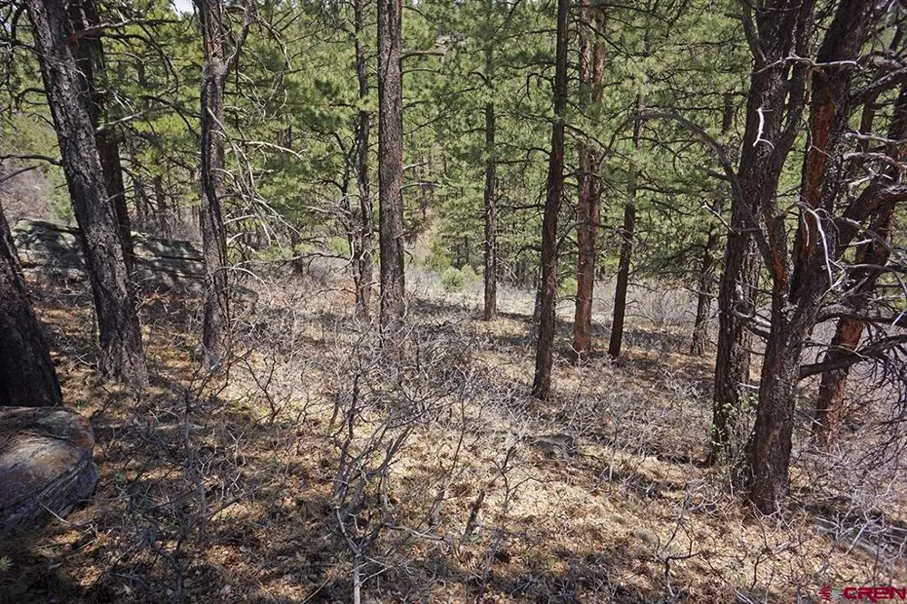 11 Road 37.1 Mancos, CO 81328