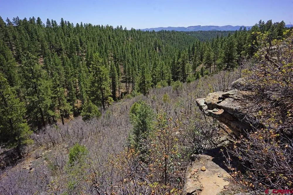 11 Road 37.1 Mancos, CO 81328